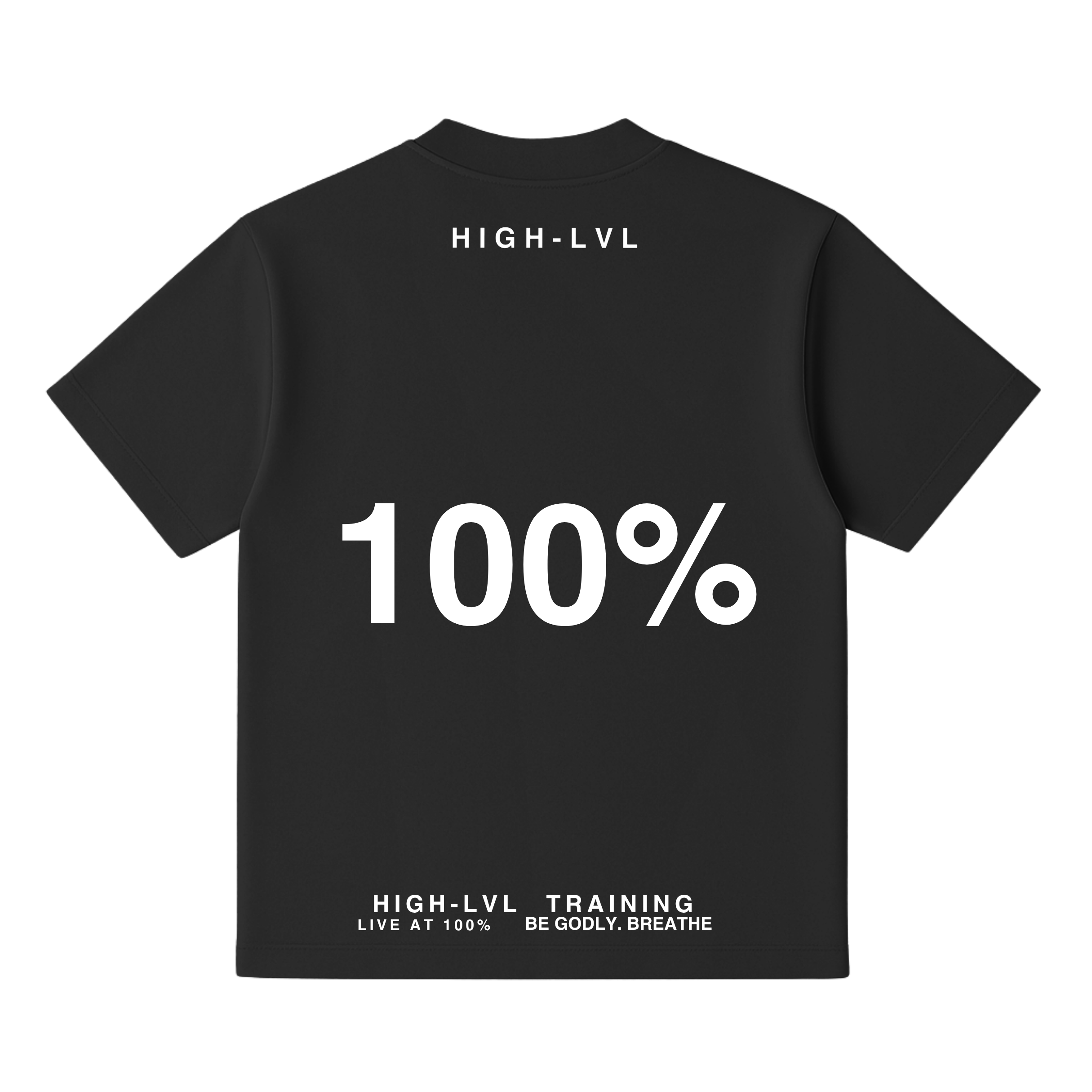 100% Heavy Tee