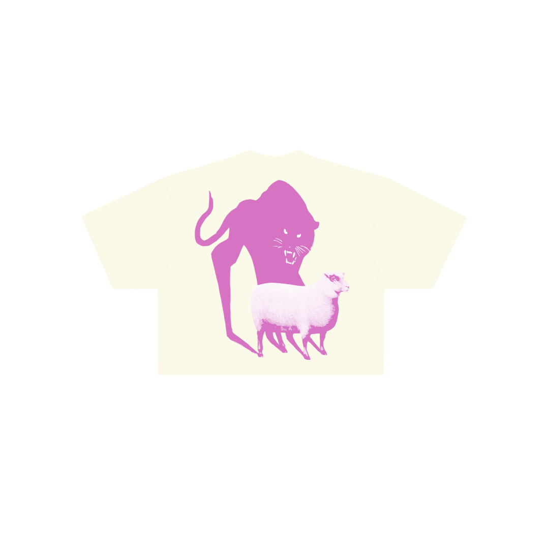 Spooks and Messiah's Oversized Crop Tee
