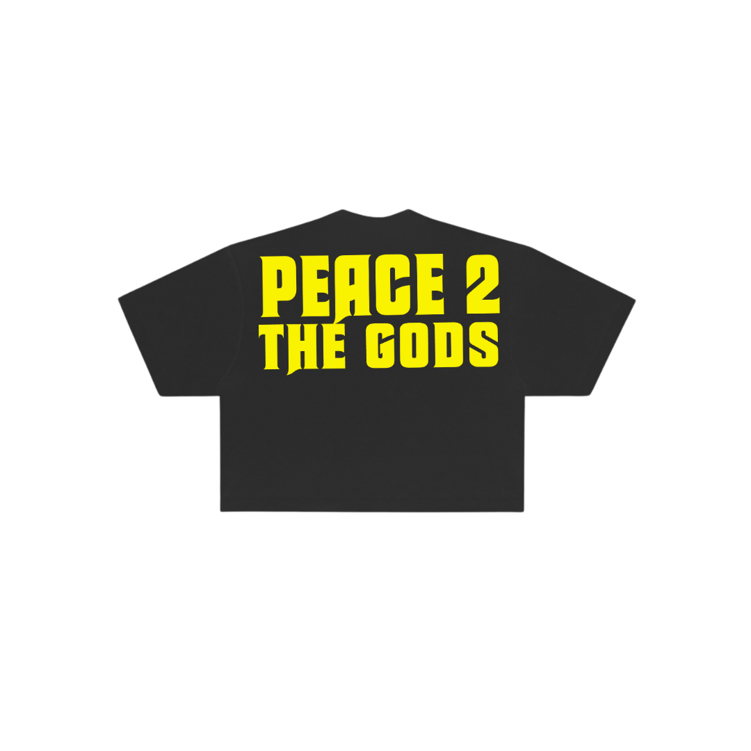 Peace 2 The Gods Oversized Crop Tee