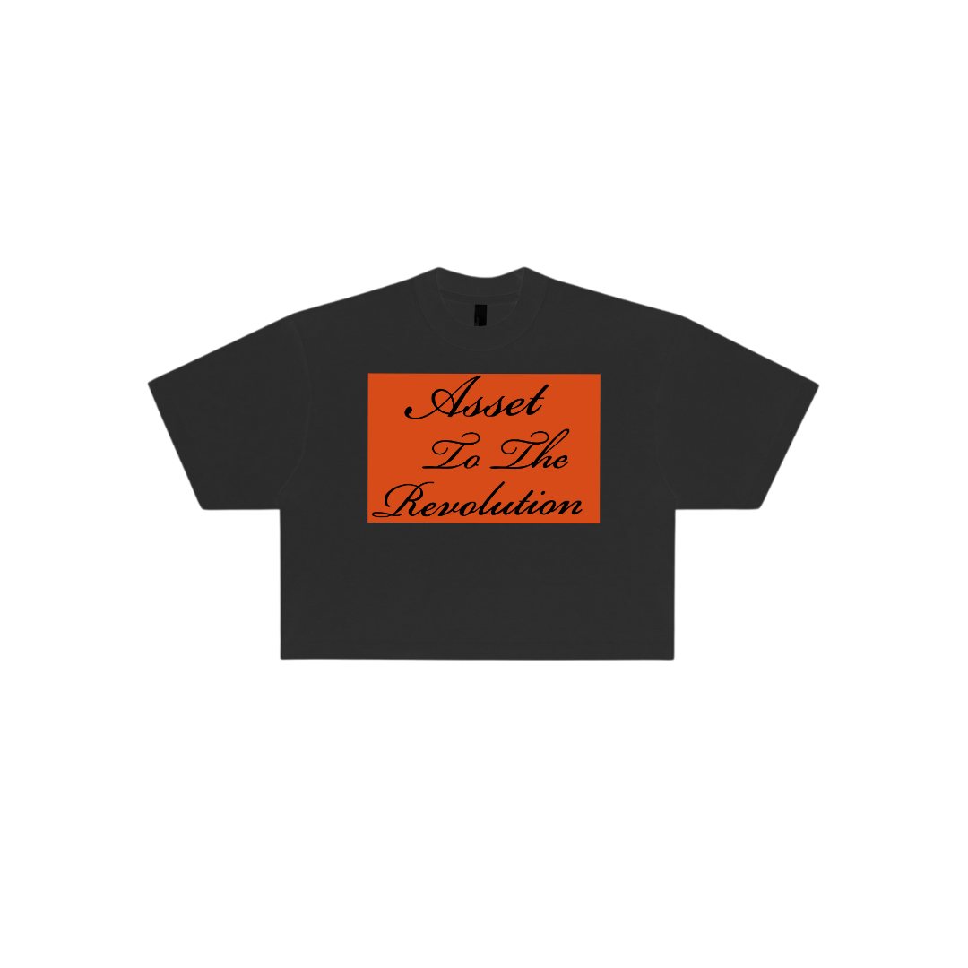 Asset To The Revolution Oversized Crop Tee